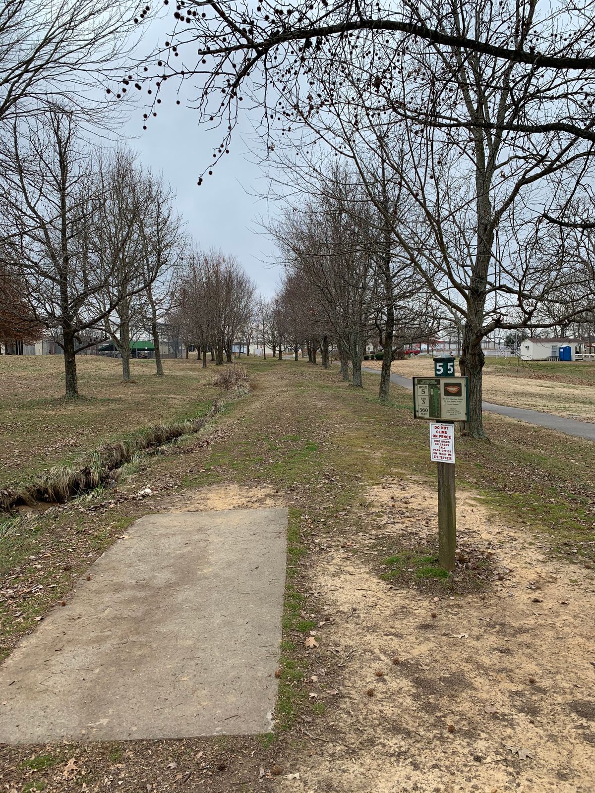 Hole 5. Straight shot through the trees.