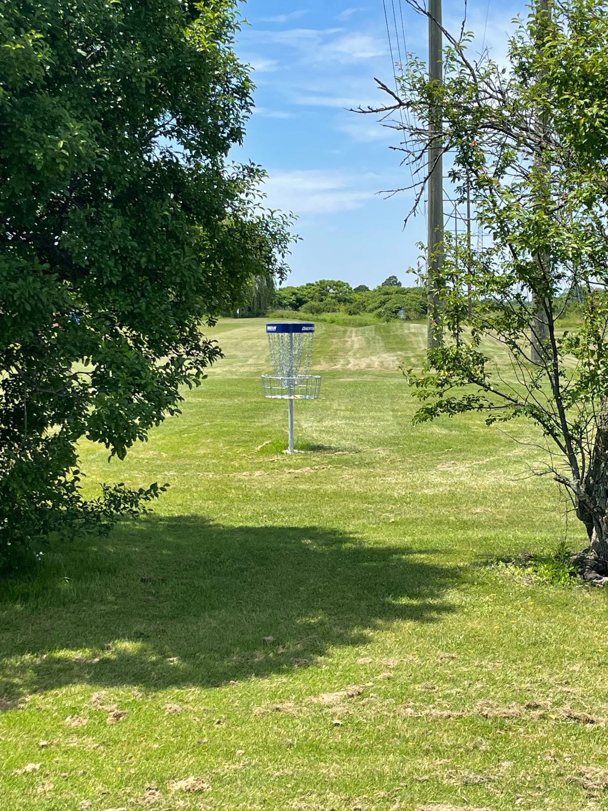 Hole 2 basket