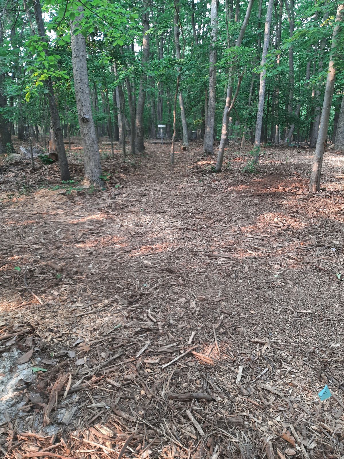 Hole 1 Tee