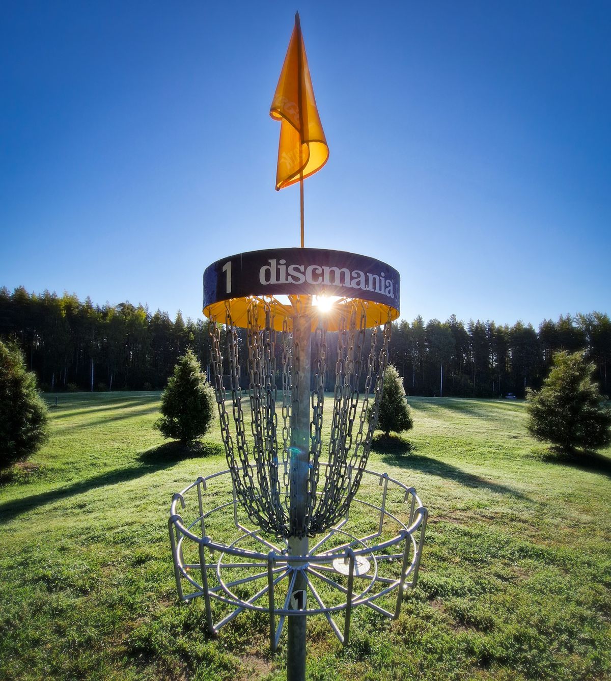 Basket of Pro hole 1