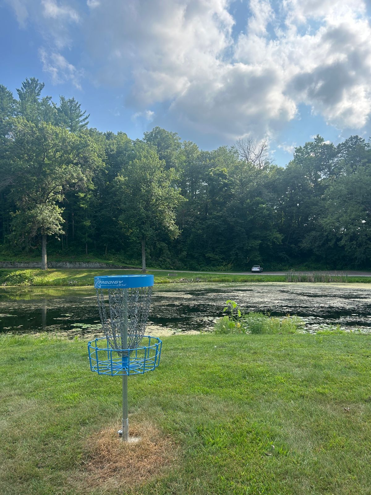 Hole 8 basket