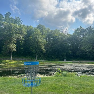 Hole 8 basket