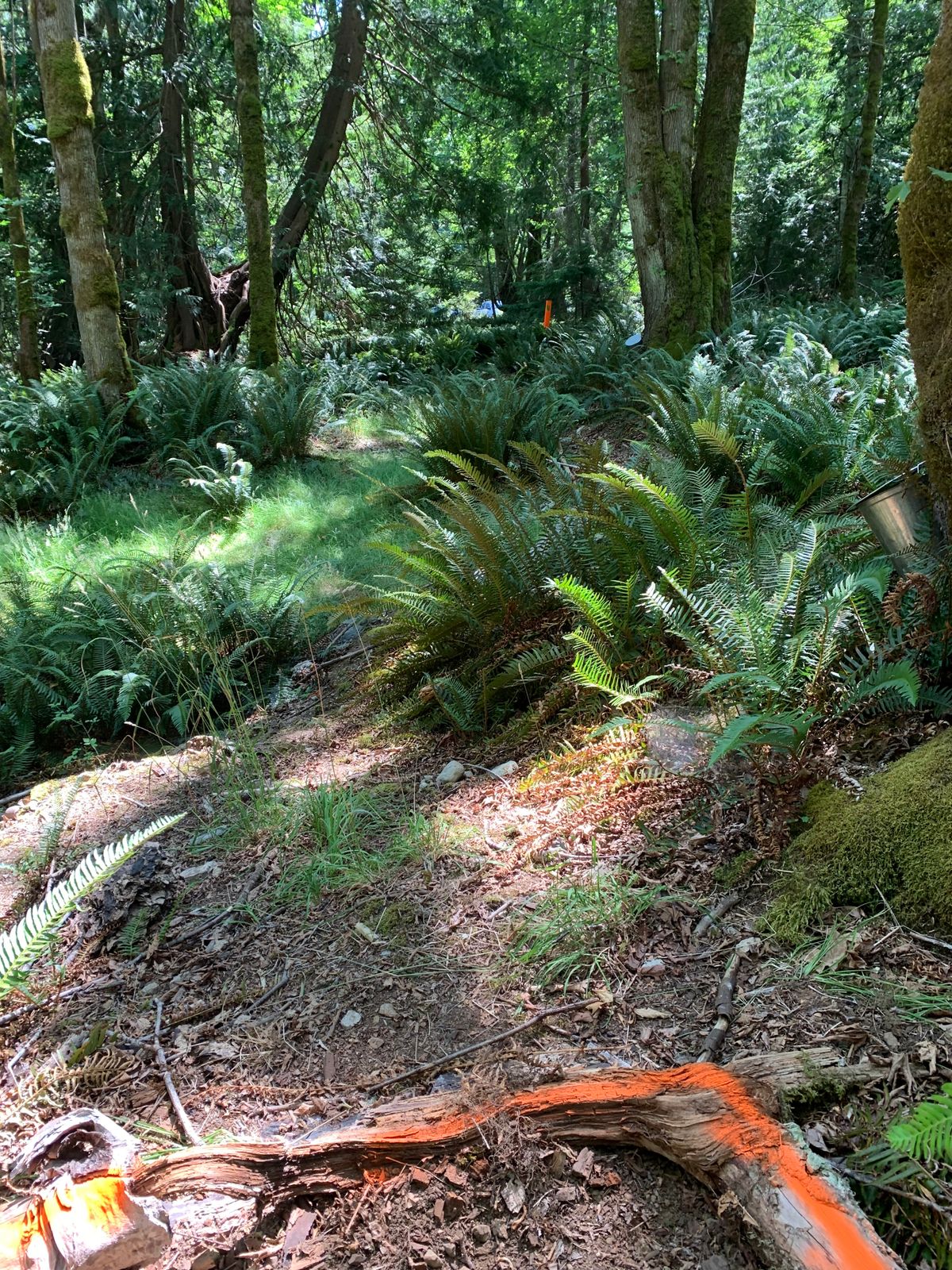 Hole 11 front