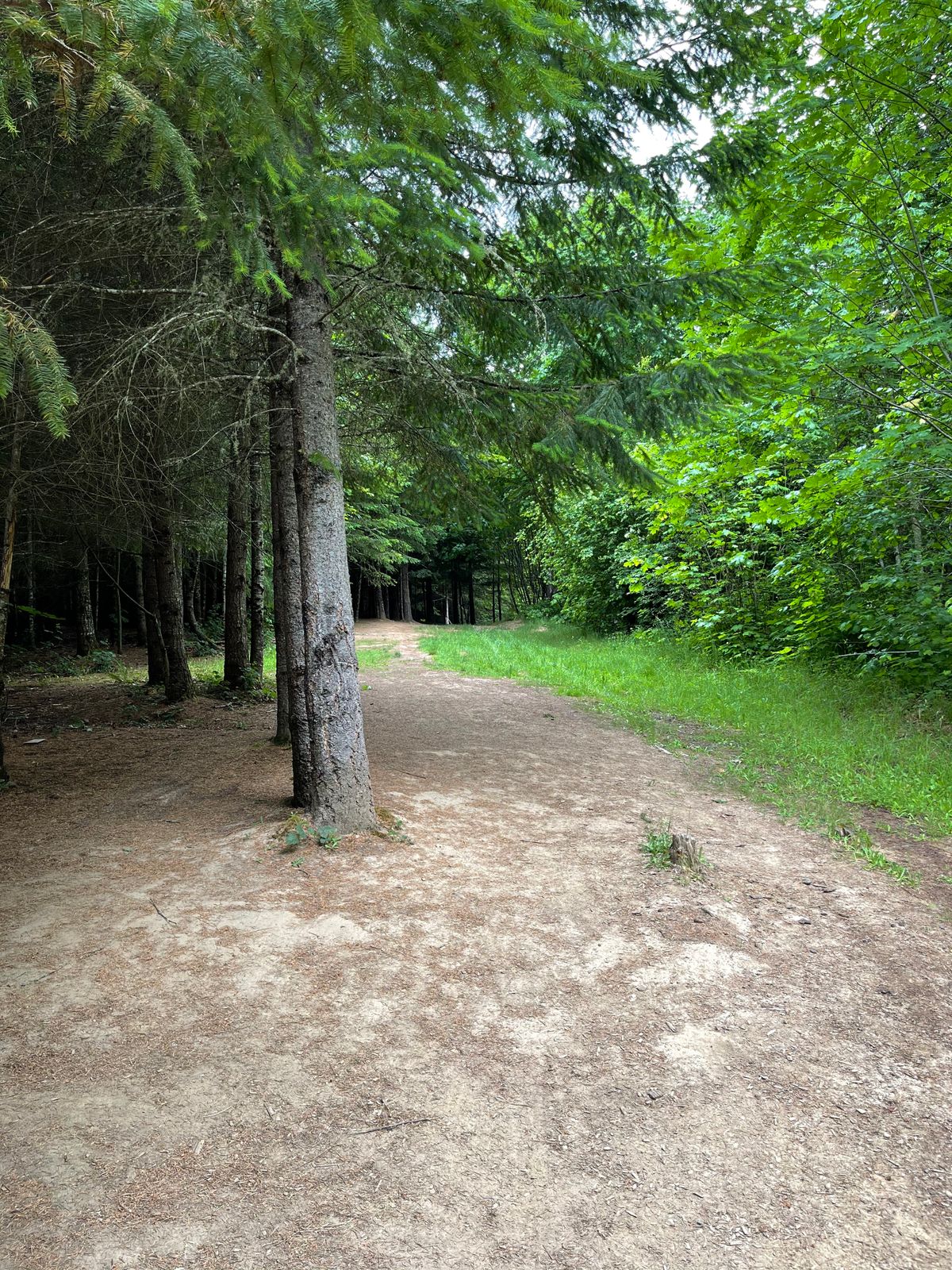 Hole 3