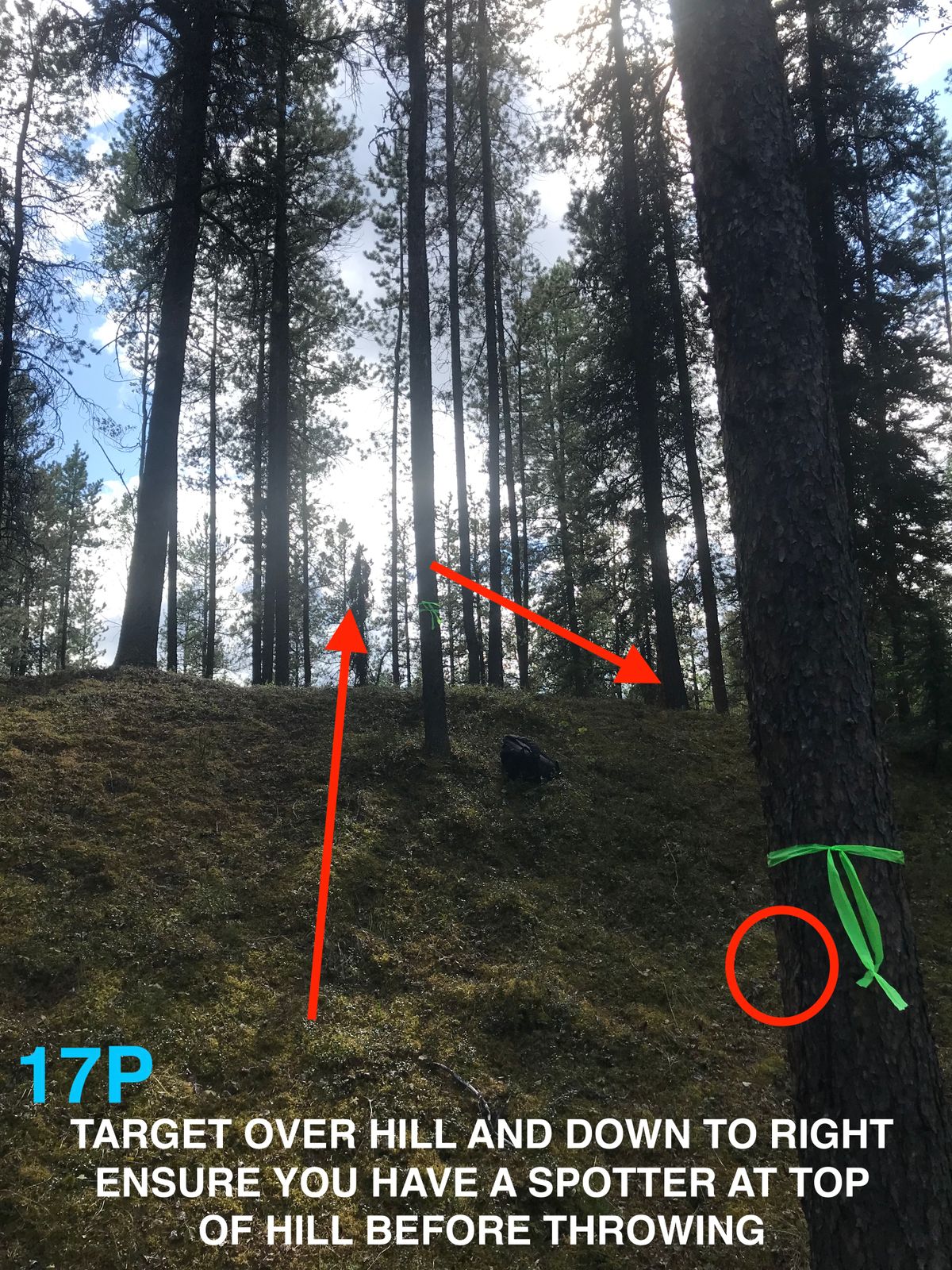 17 - Pro Tee - Note: you must have a spotter at the top of the hill to safely play 17 Pro Tee