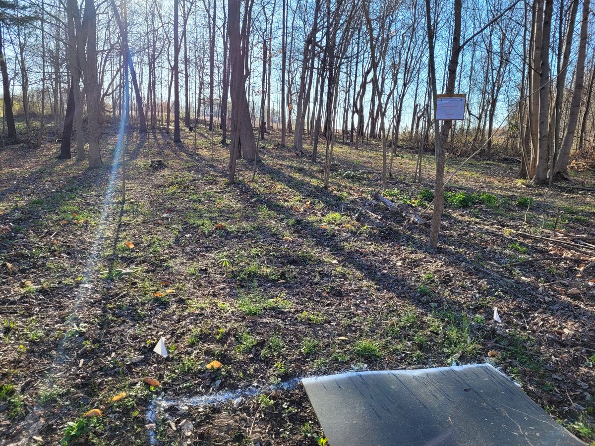 Hole 5