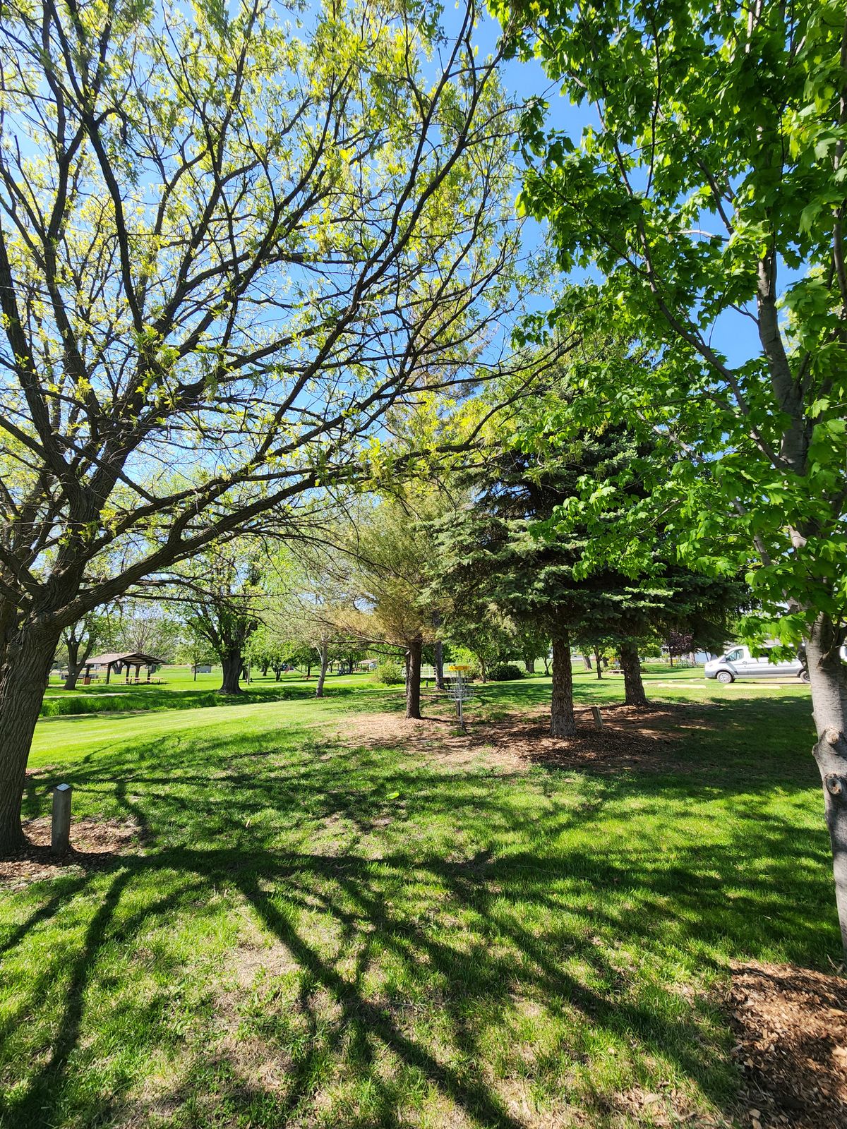 Hole 9 Green