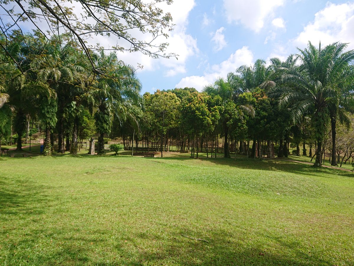 Fairway of hole 3