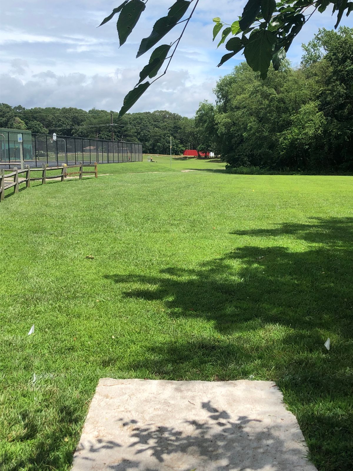Hole 8 long tee