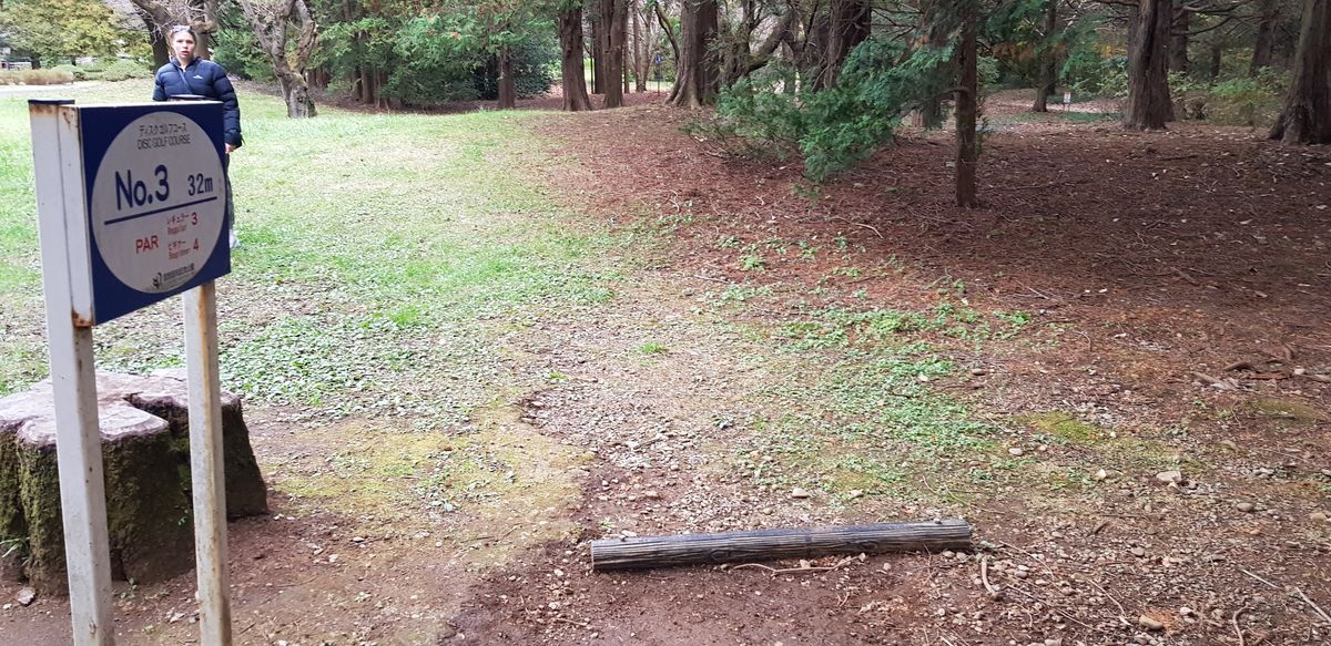 Hole 3