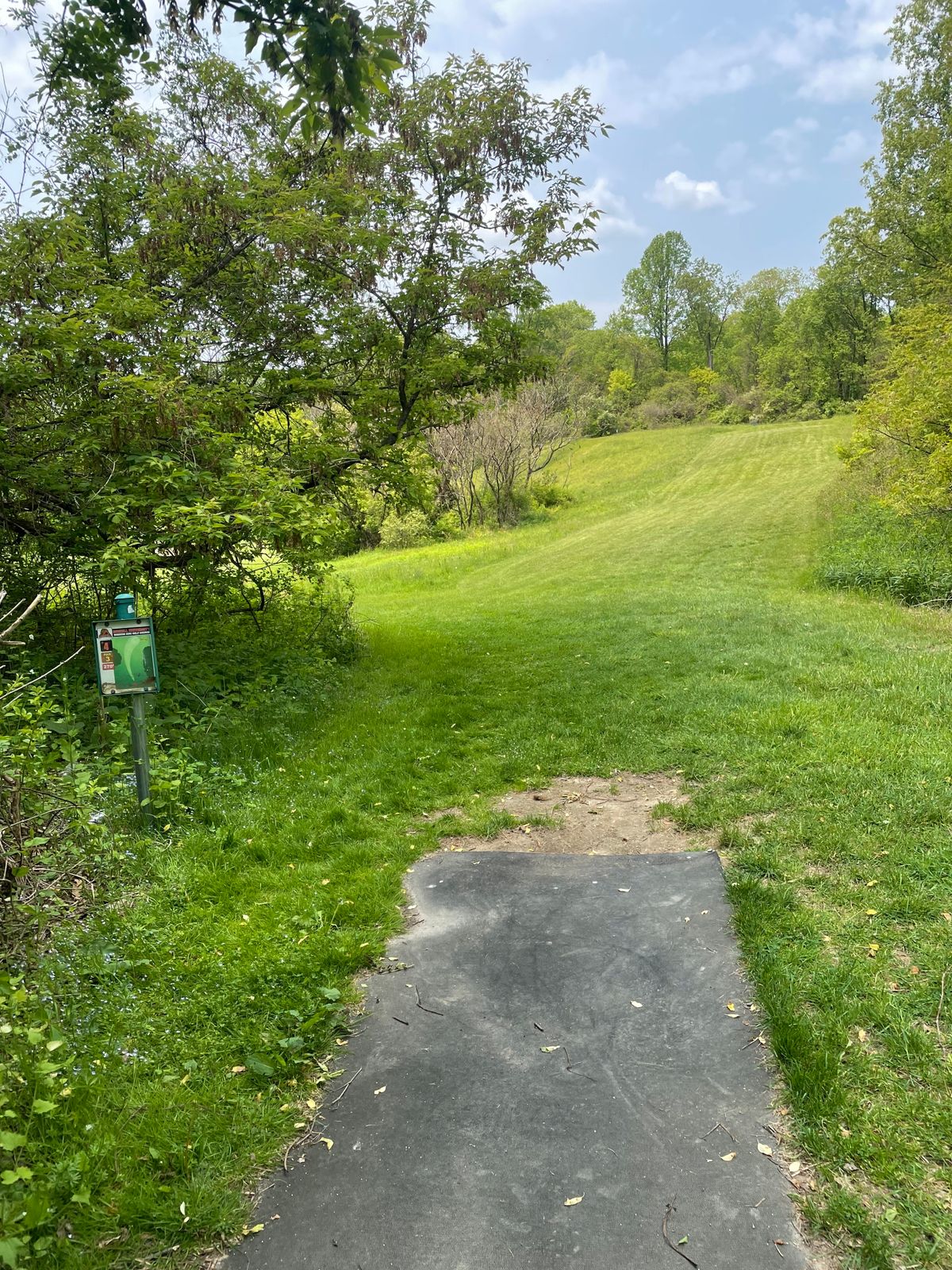 Hole 4, tee
