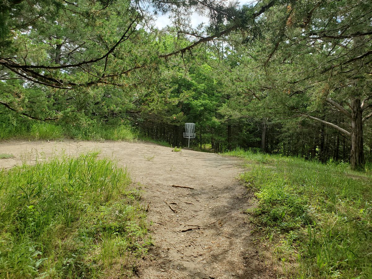 Hole 7 basket