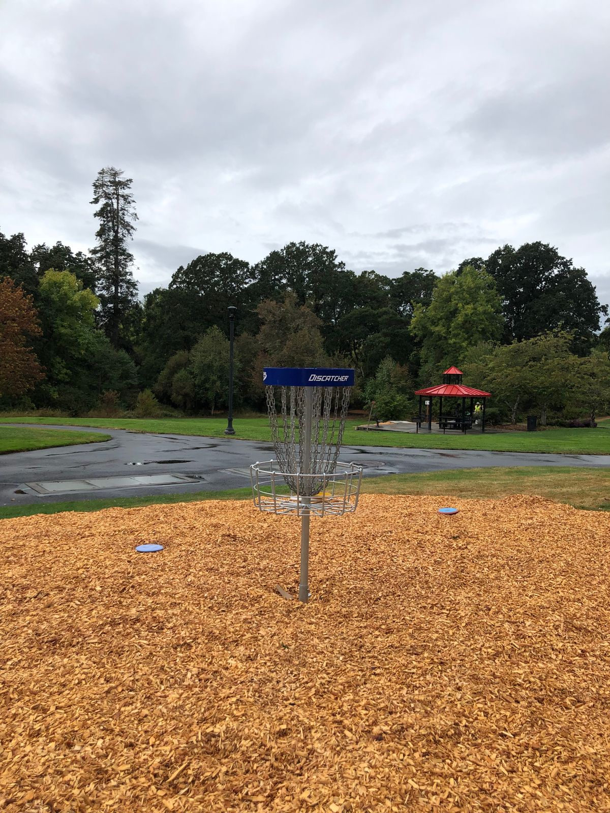 Practice basket right next to 1’s tee pad