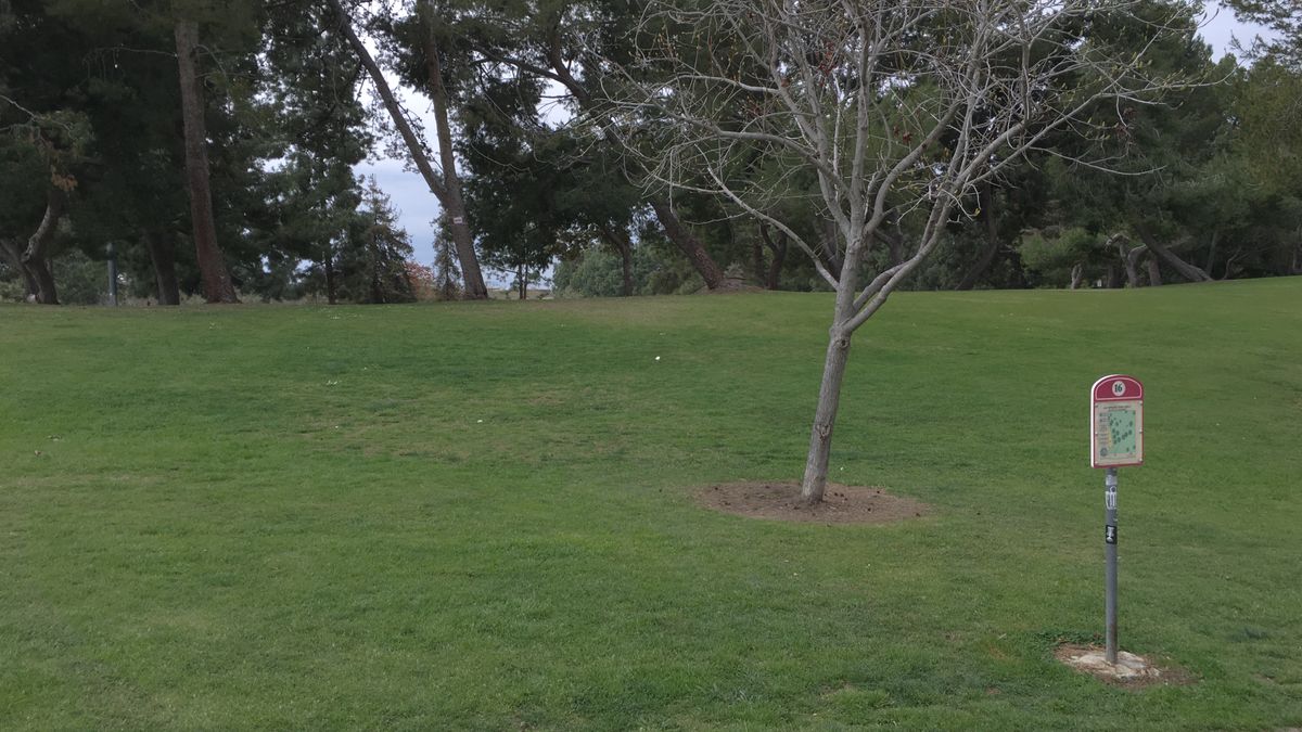 Hole 15