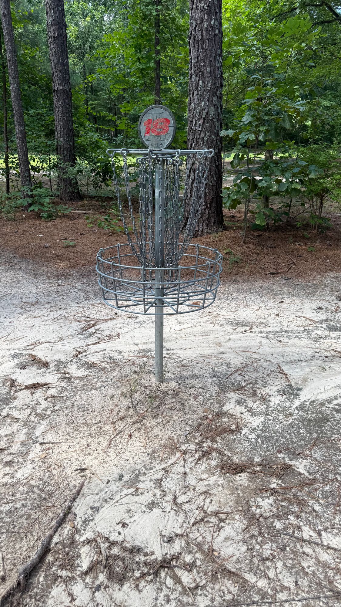 Hole 18 Basket