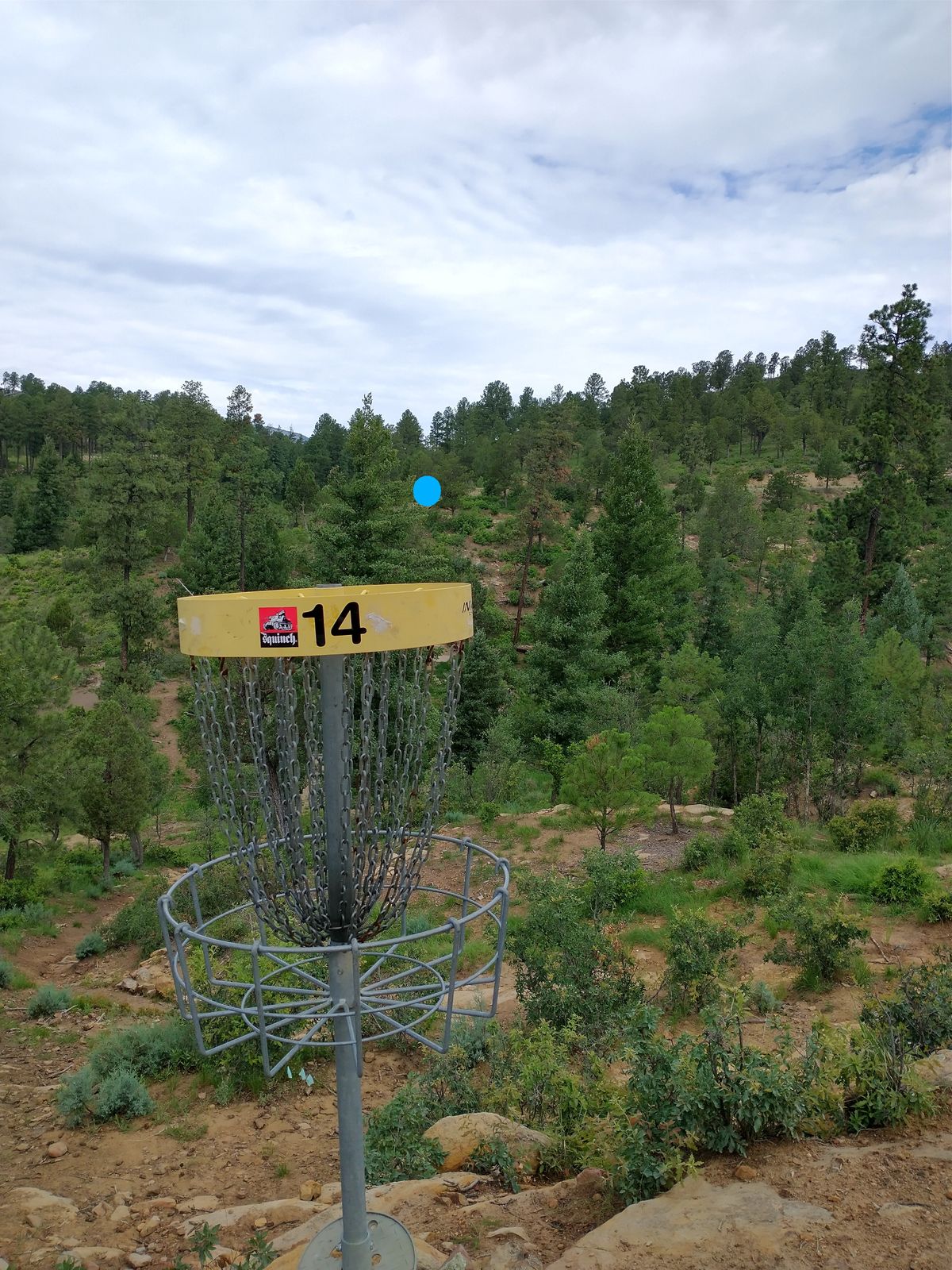 14 basket