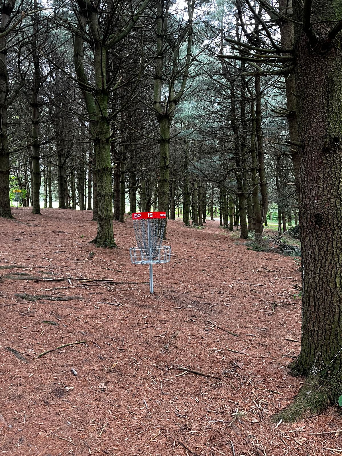 Hole 15 red green
