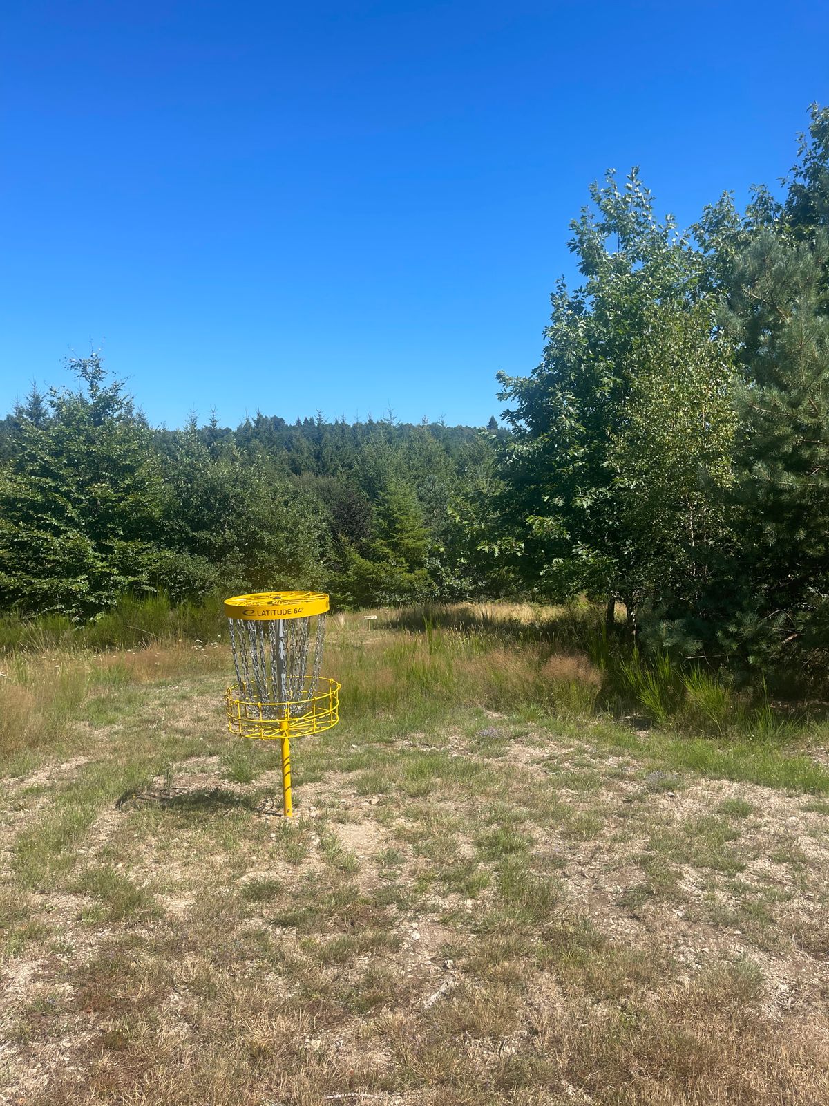 Un parcours dans l’arboretum