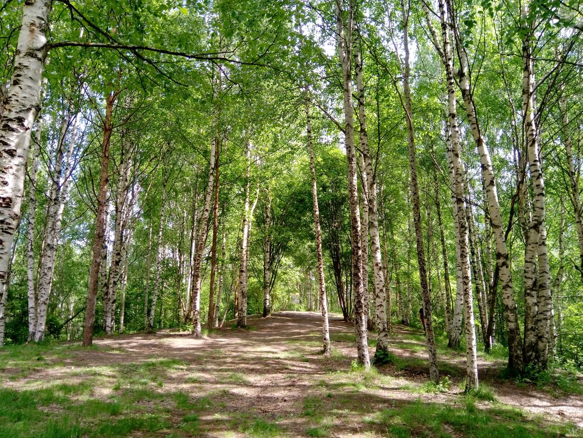 Hole #10, basket (10.6.2022).
