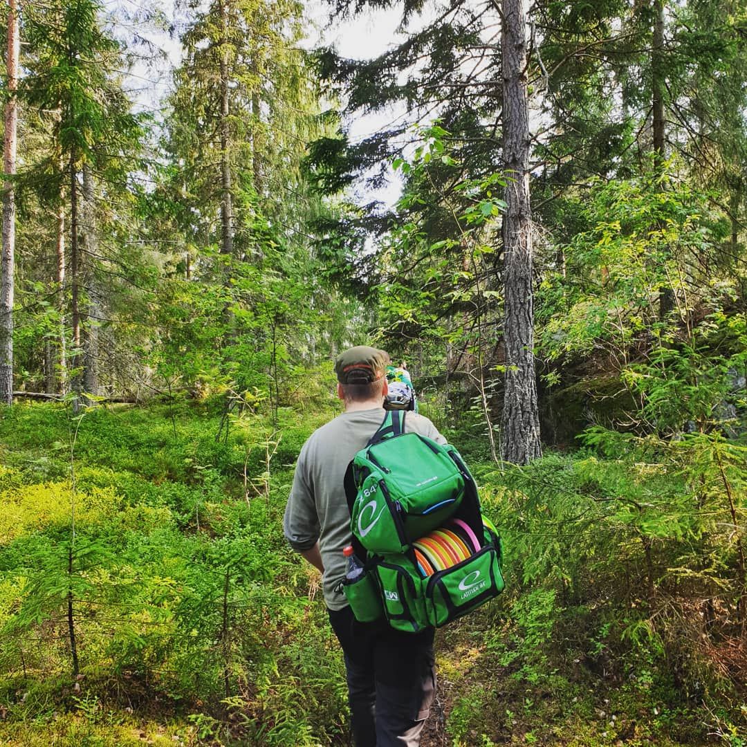 Just a nice walk in the forest.