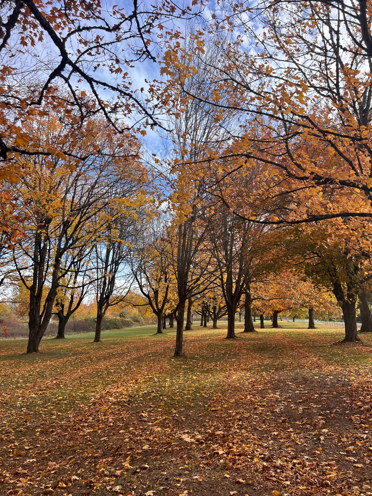 Hole 1 fairway