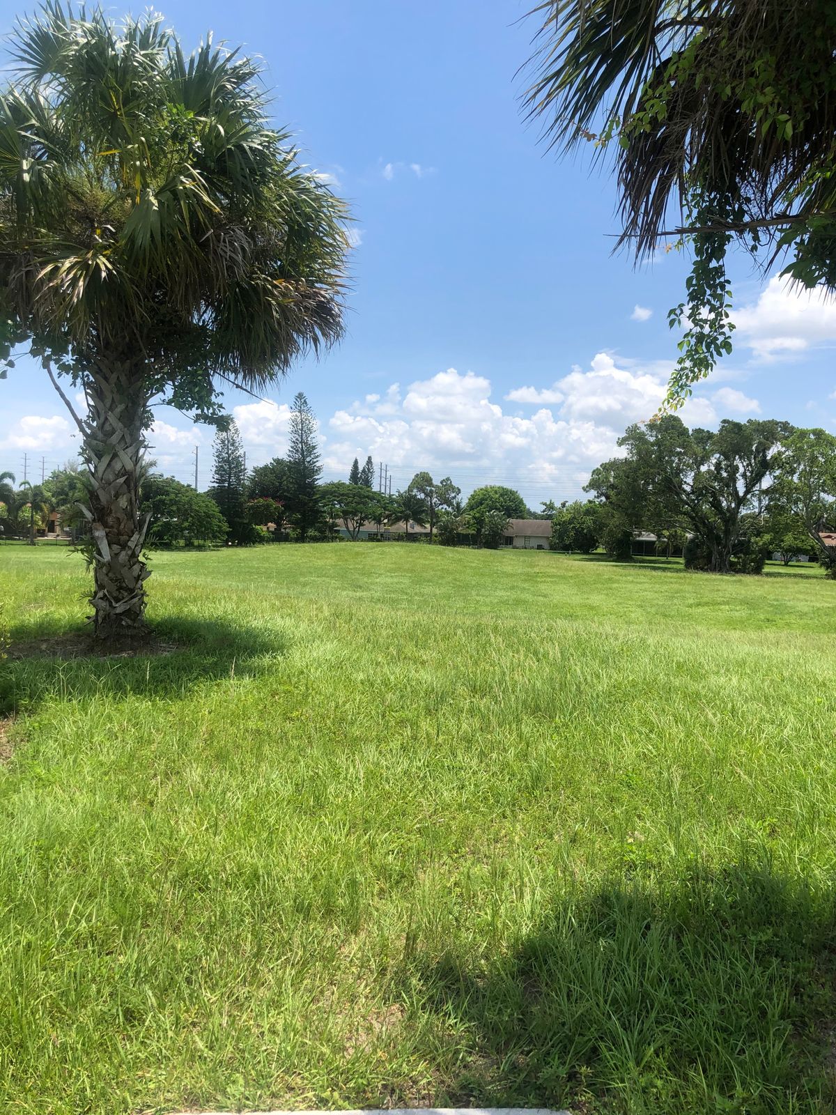 Hole 3