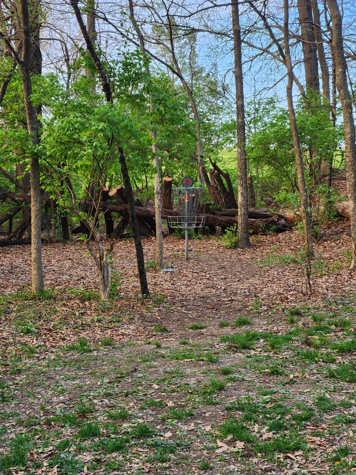 Hole 9,  A position, club built a nice log wall