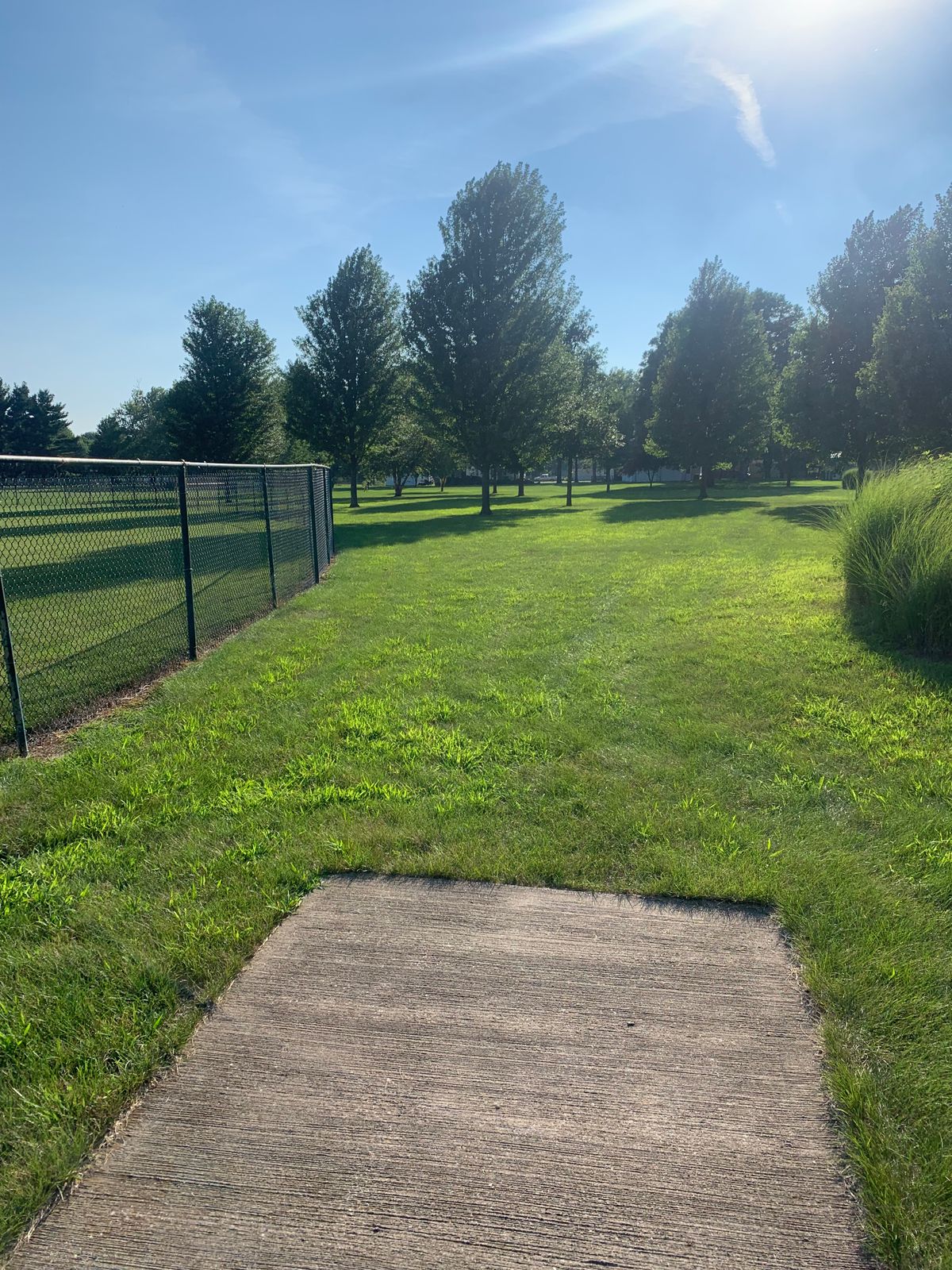 View from tee on hole #7. Basket is a slight dogleg left following the baseball fence.