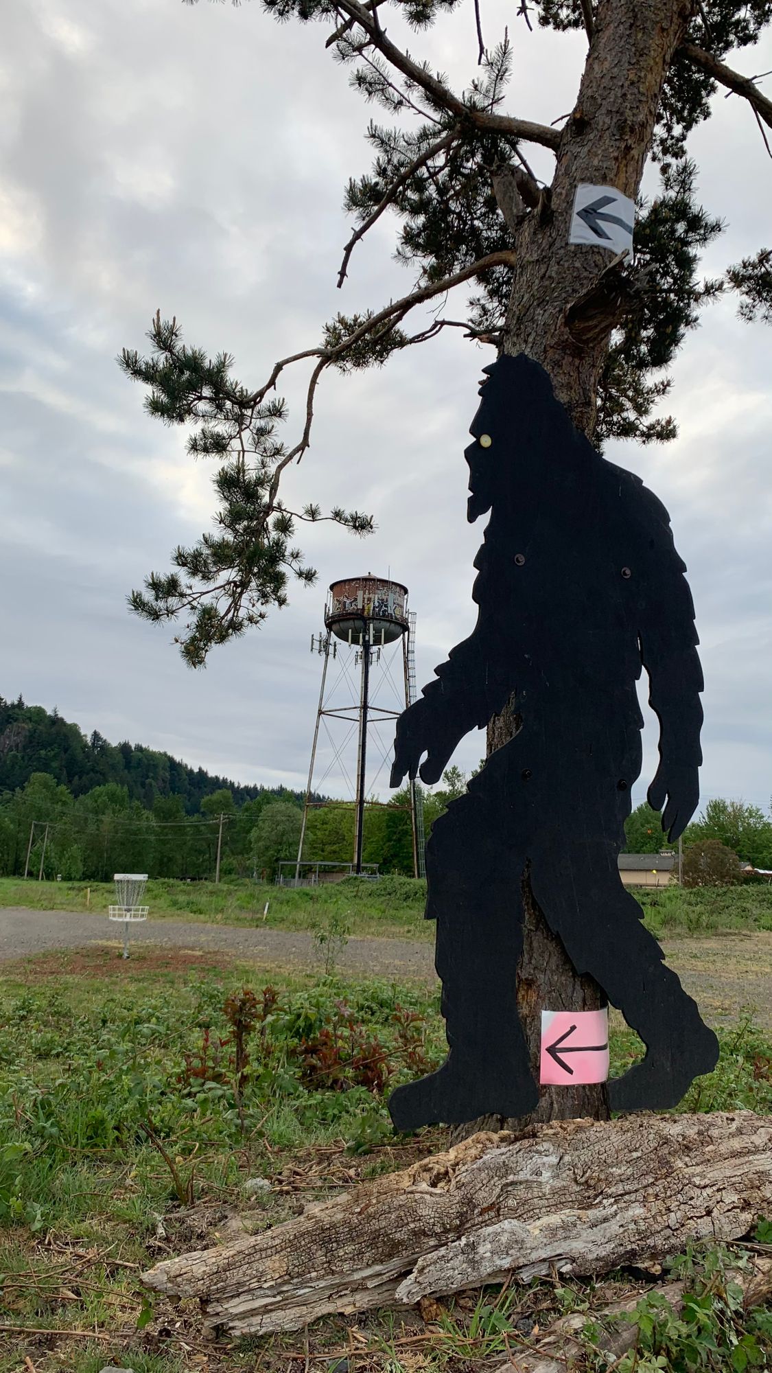 Squatch busters.
