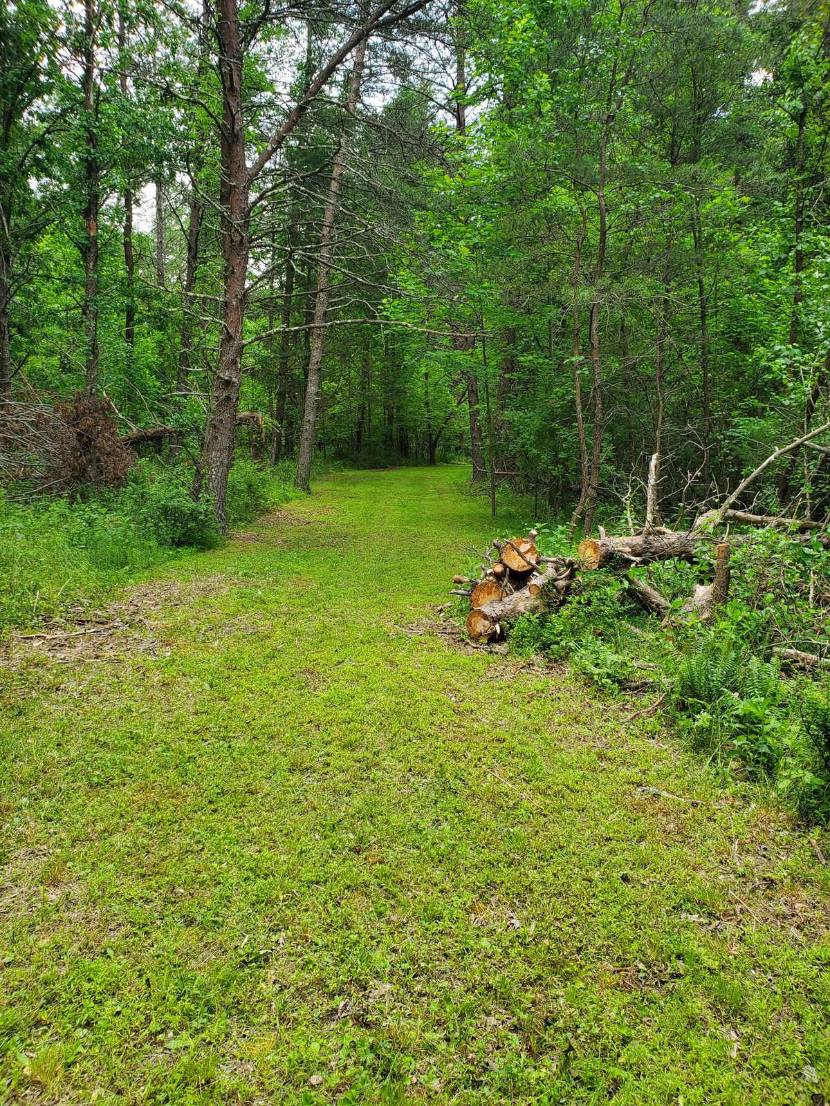 #13 fairway