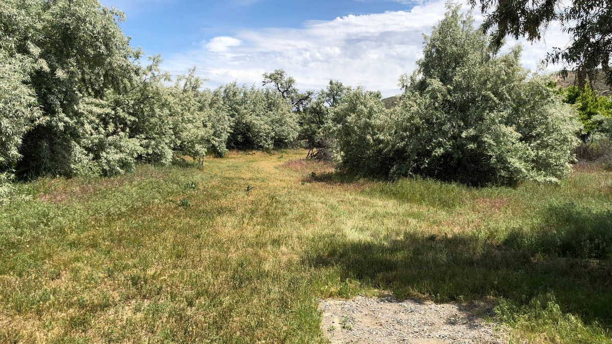 Hole 9