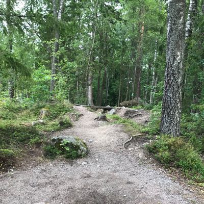 Hål 7 bakre