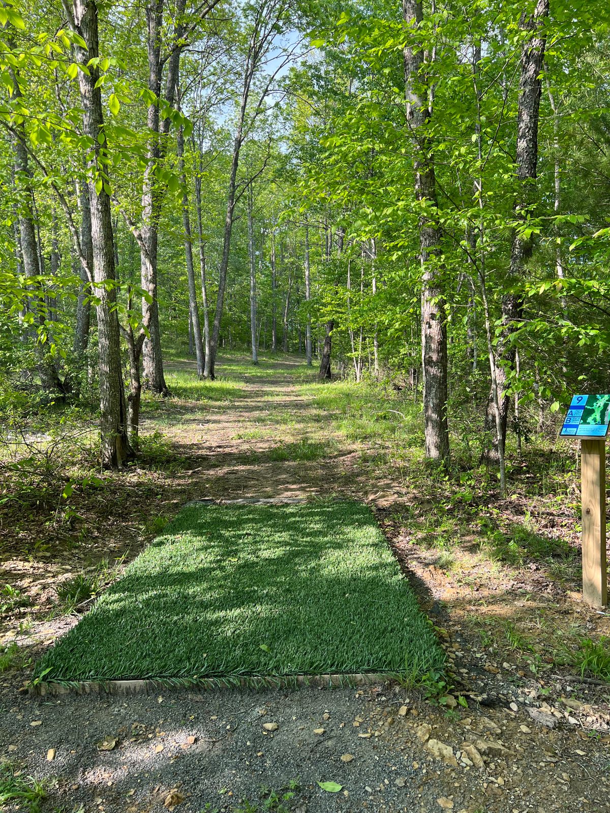 Hole 9 Blue Tee