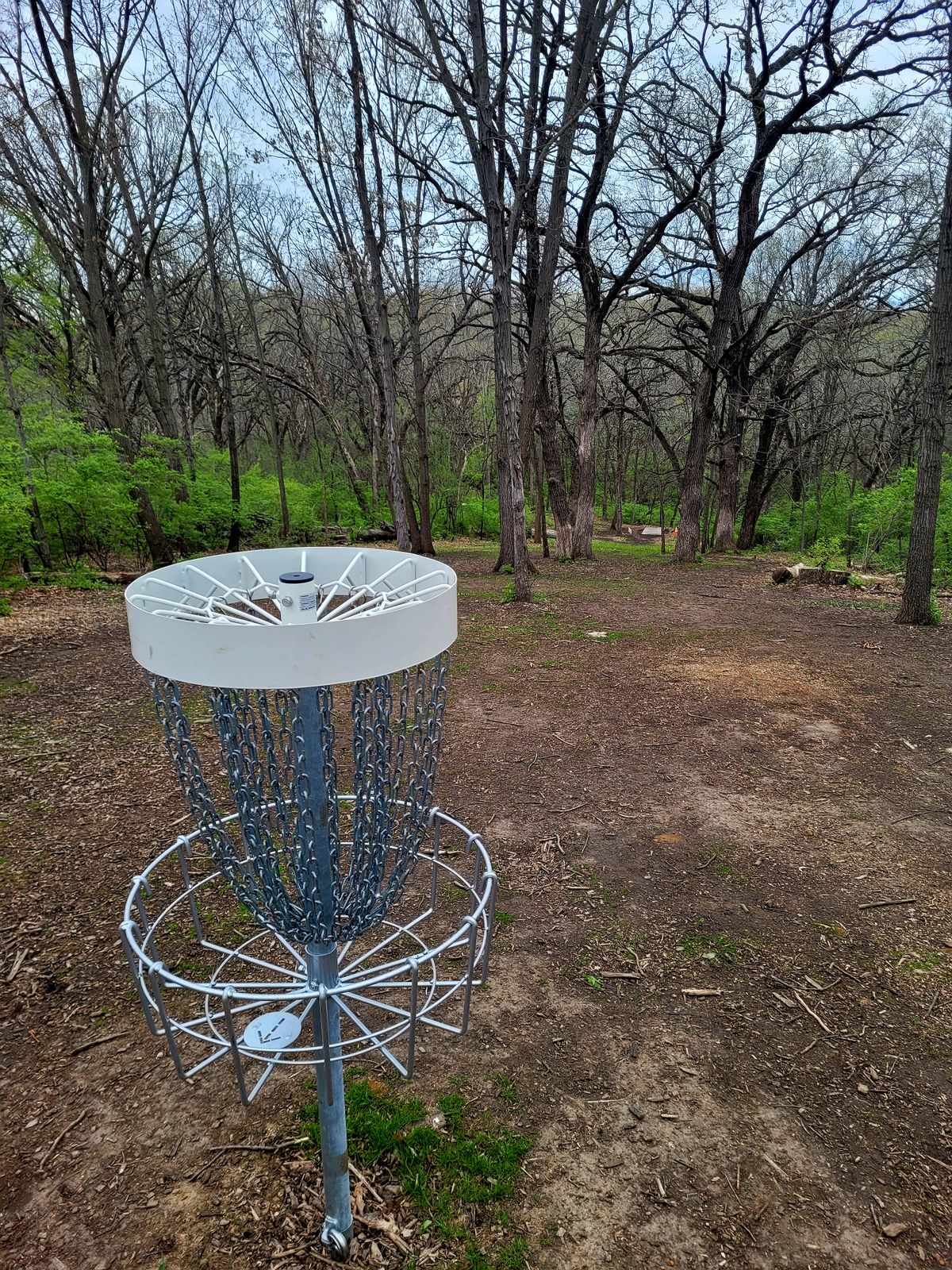 Hole 9 Basket to Tee