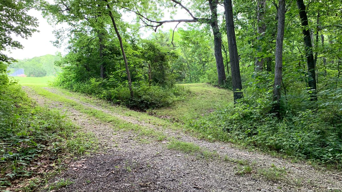 Hole 6