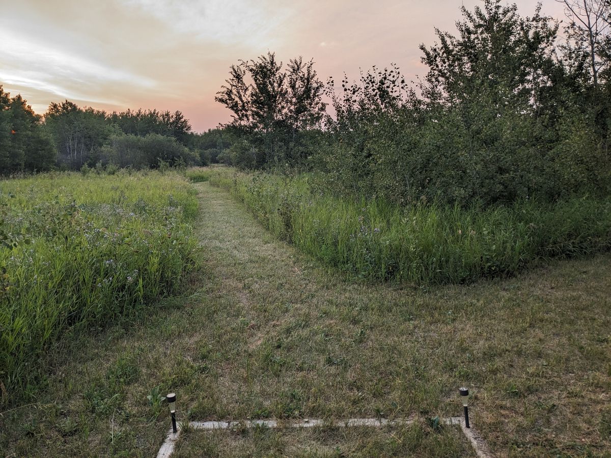 Hole 14, basket behind the tall center trees