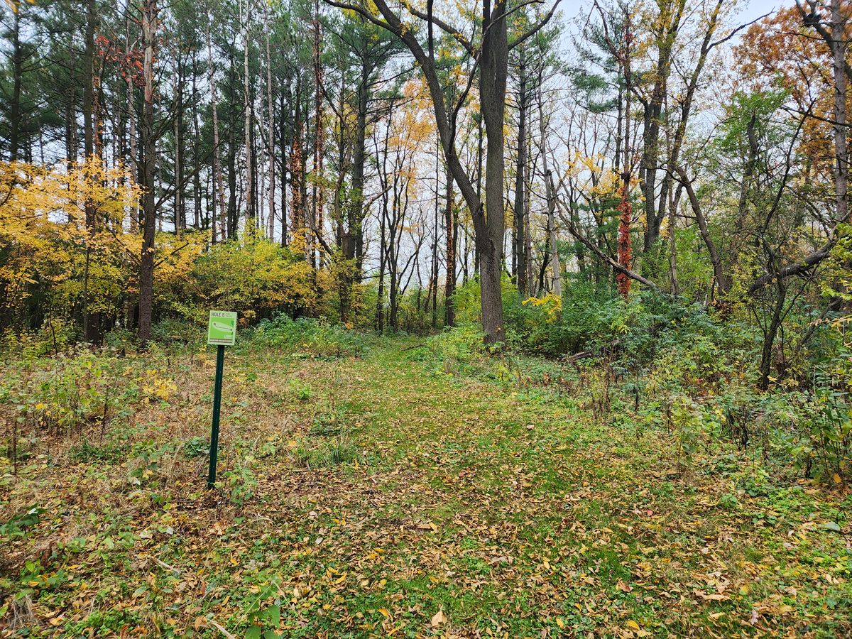 View from hole 6 tee.