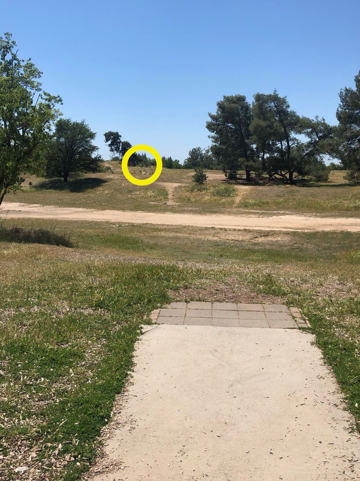 Hole 3 Position B Tee to basket