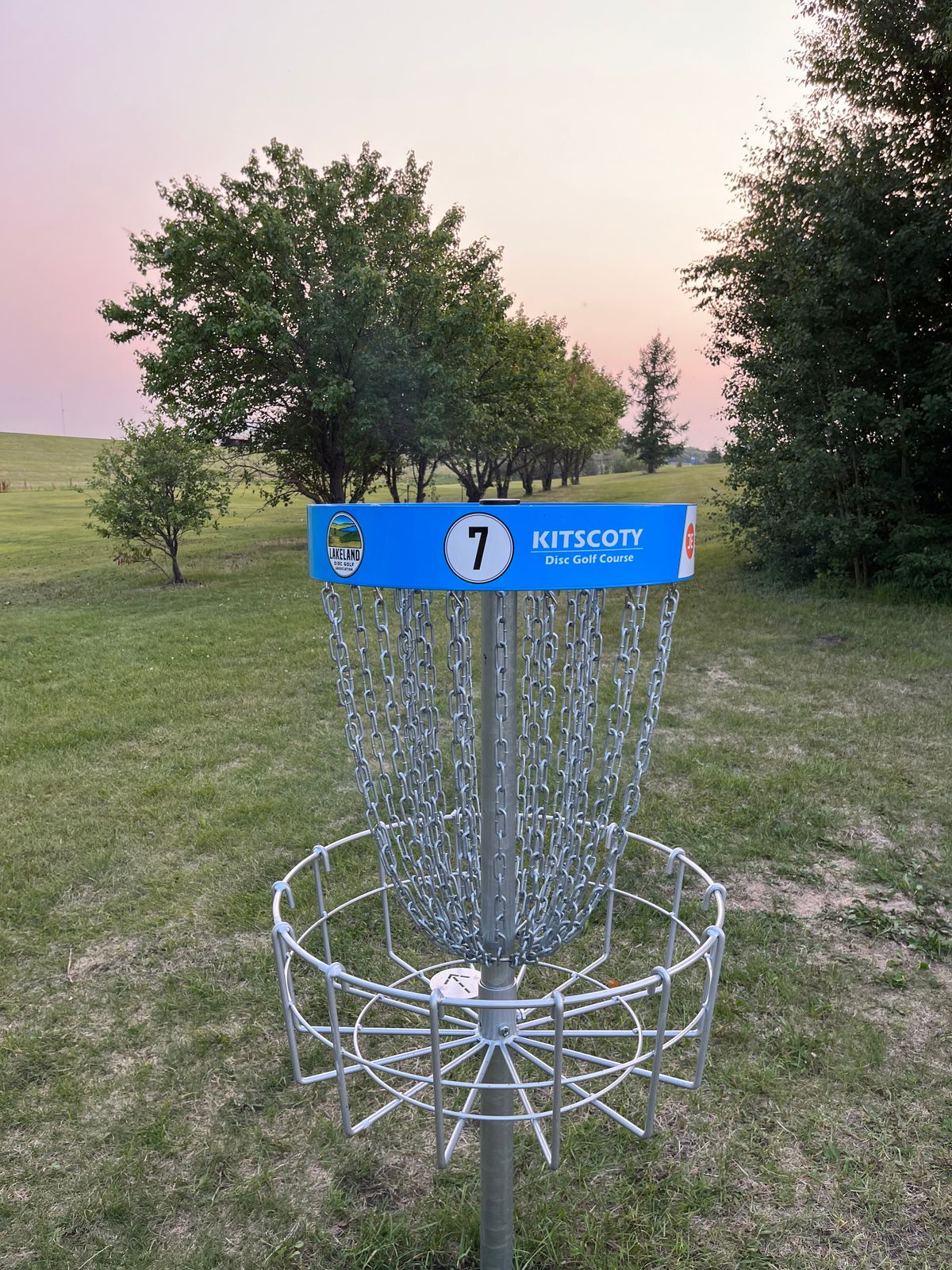 Basket - Looking back at white fairway