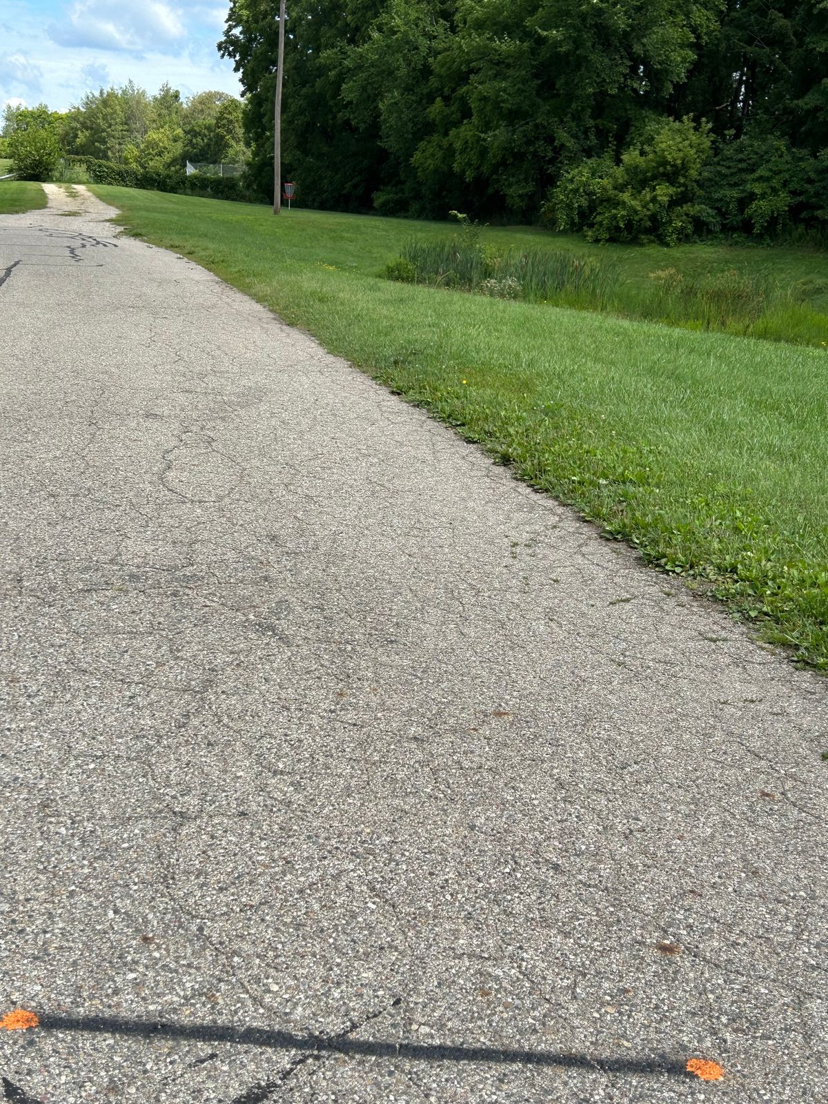 Five’s ALT (#11) has OB of the road. If OB, play it from where it lies and add a stroke