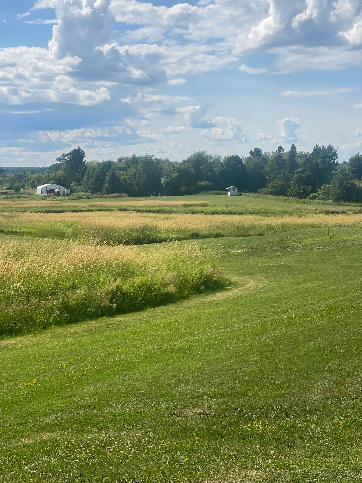 3rd hole