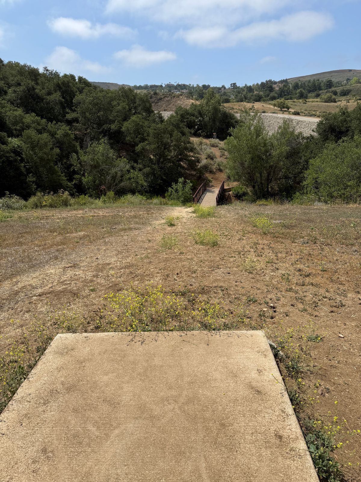 Hole 12 lower tee