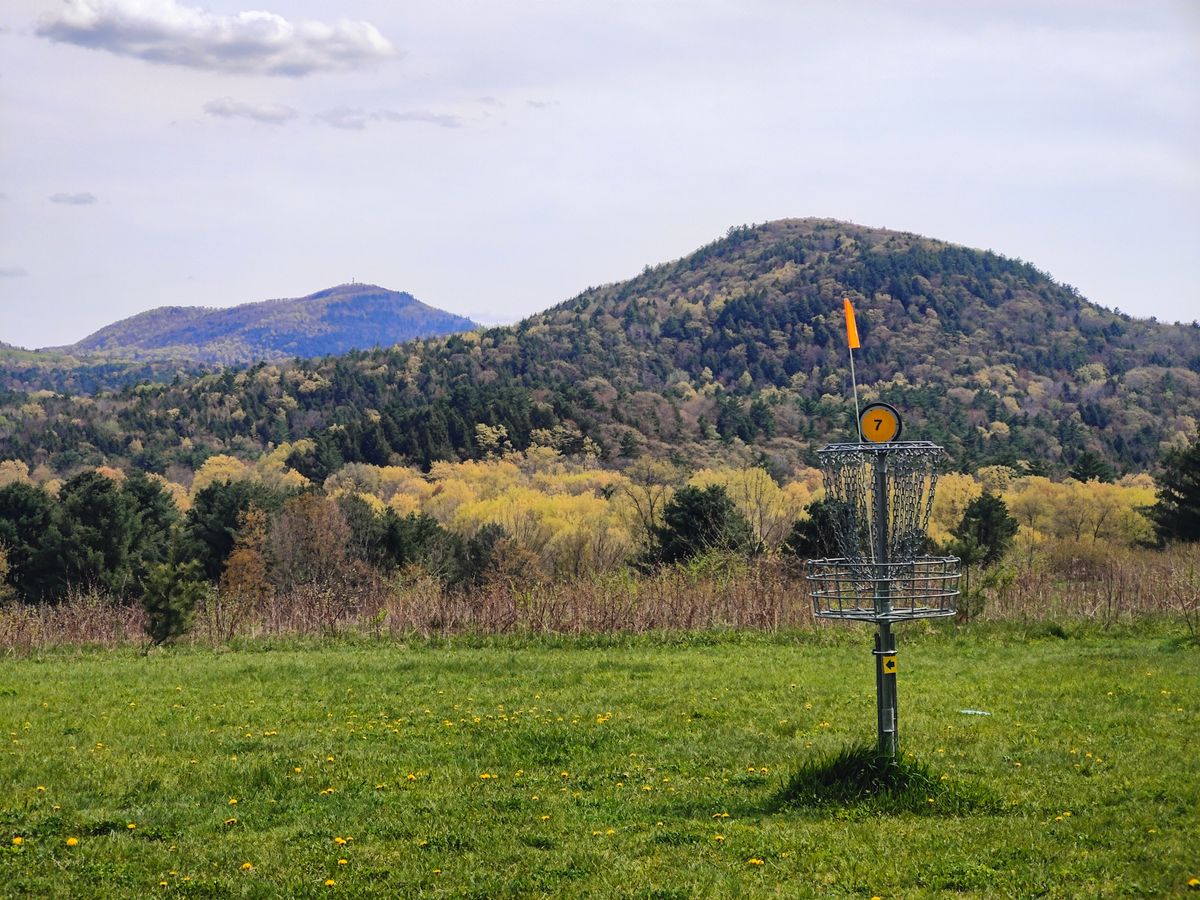 Hole 8s basket, with a beautiful view to be had