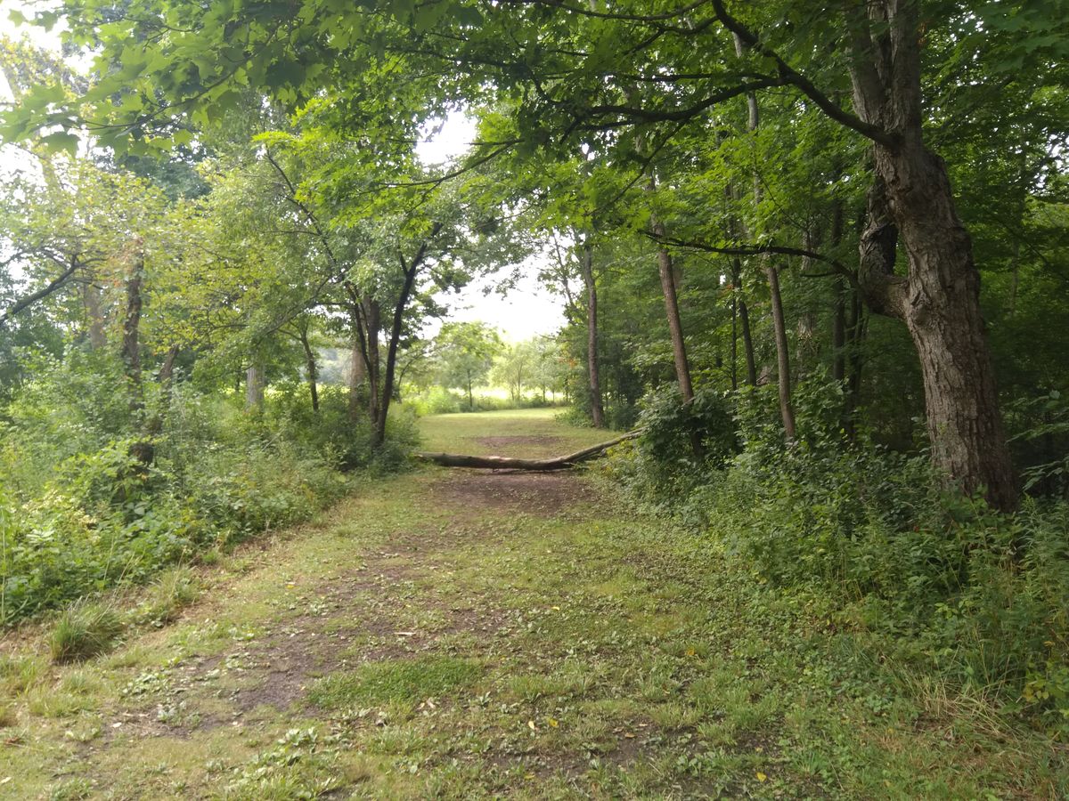 I dig the new obstacle on hole 16.