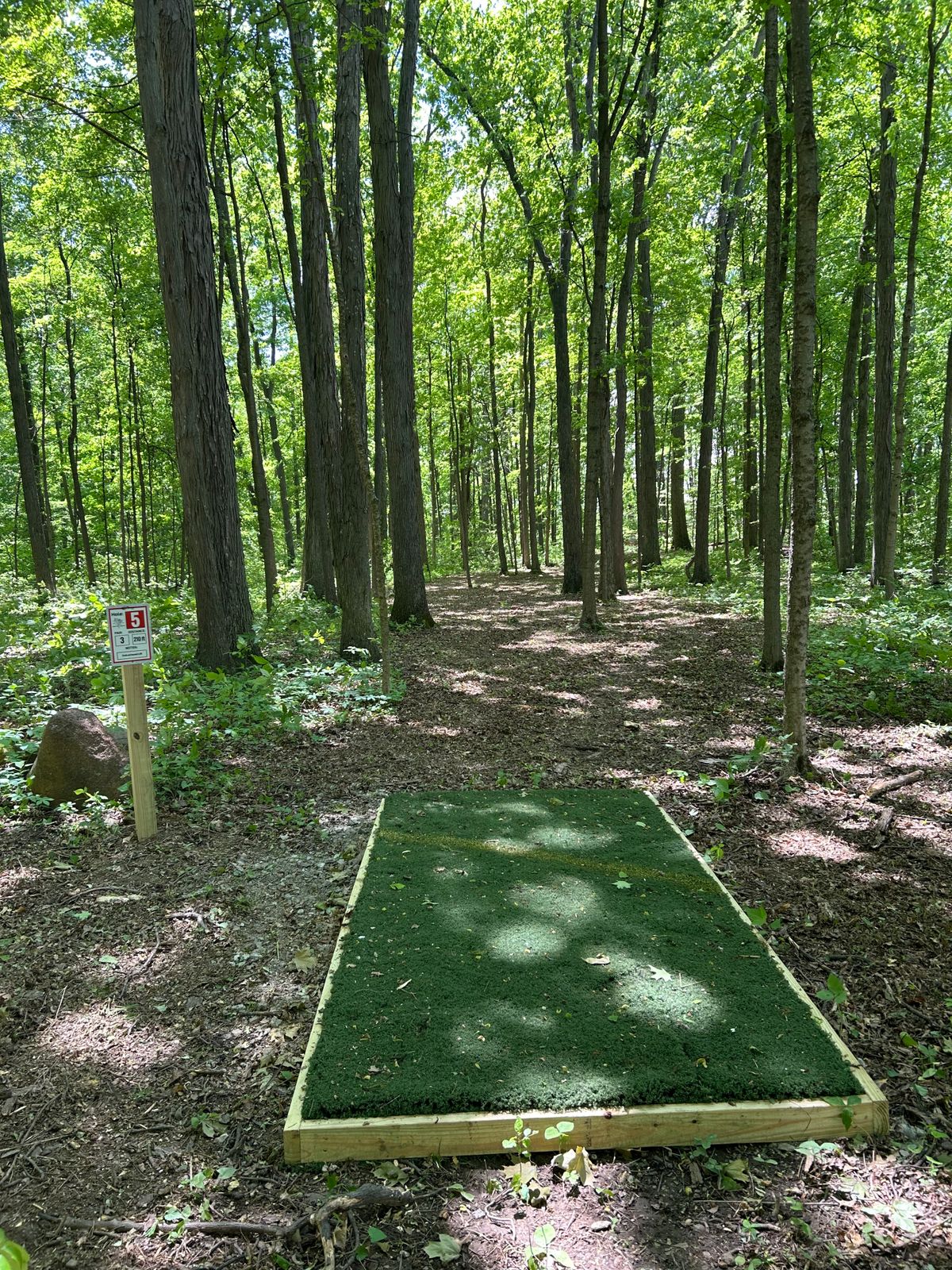 Hole 5 210ft par 3