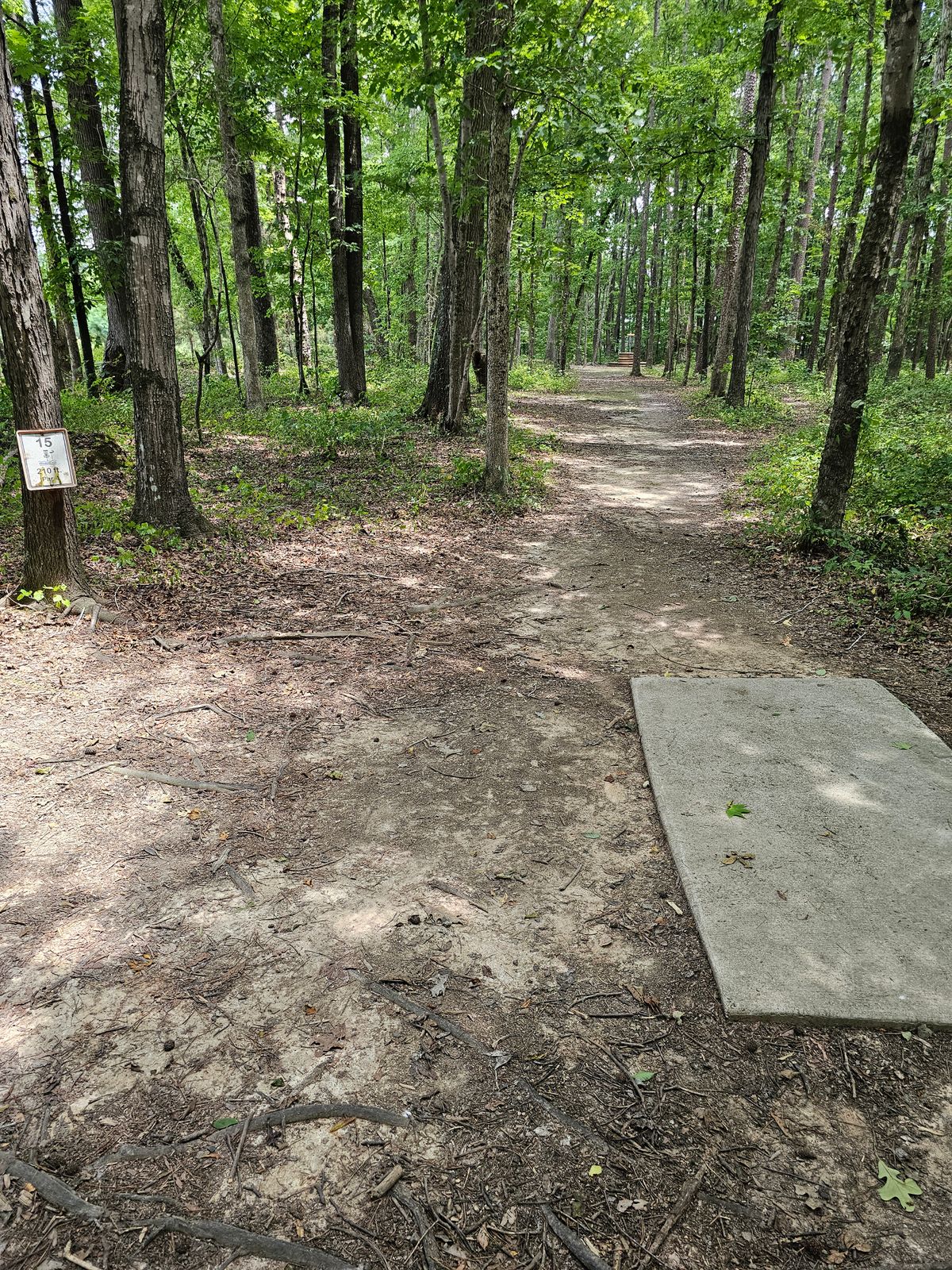 Hole 15