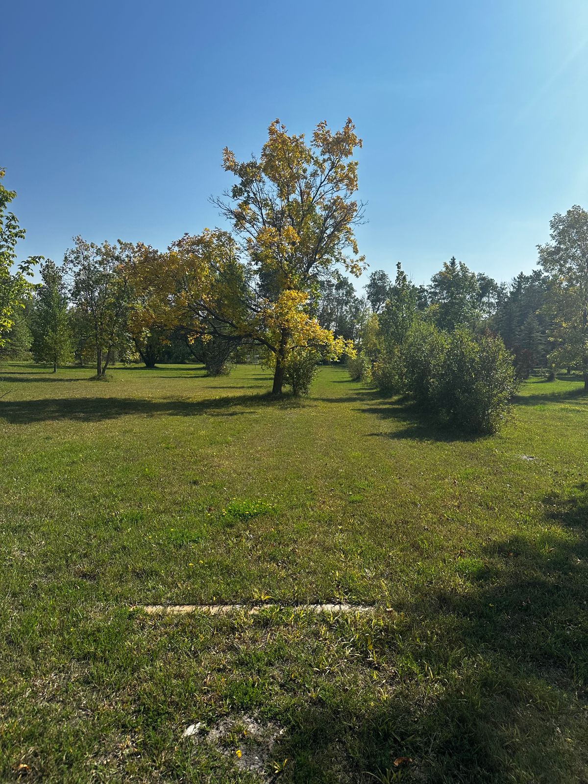 Hole 6