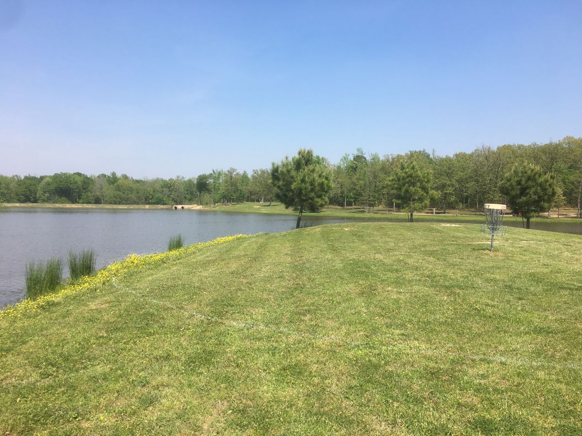 Hole #7 (island green)