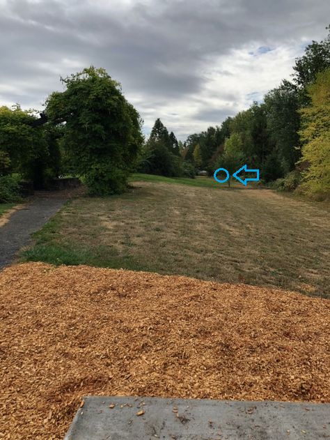 Hole 8 basket location. Careful of going long and left, hole 9 tee-pad is right there.