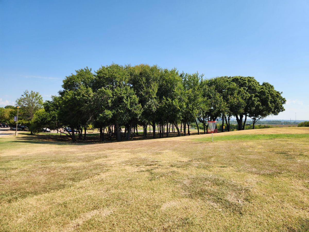 Hole 5 green